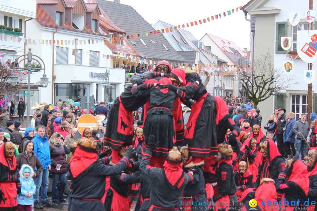 Fasnetsumzug - Fasching: Langenargen am Bodensee, 10.01.2016