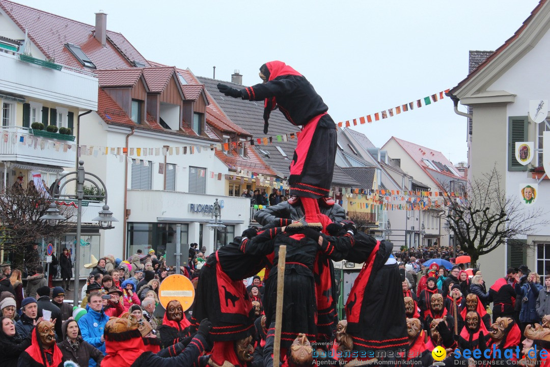 Fasnetsumzug - Fasching: Langenargen am Bodensee, 10.01.2016