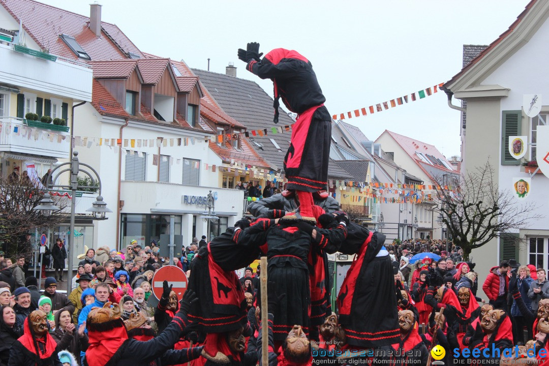 Fasnetsumzug - Fasching: Langenargen am Bodensee, 10.01.2016