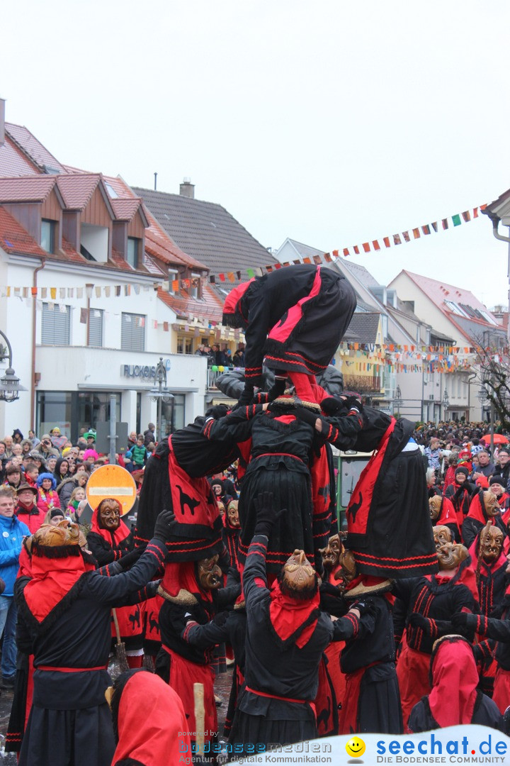 Fasnetsumzug - Fasching: Langenargen am Bodensee, 10.01.2016