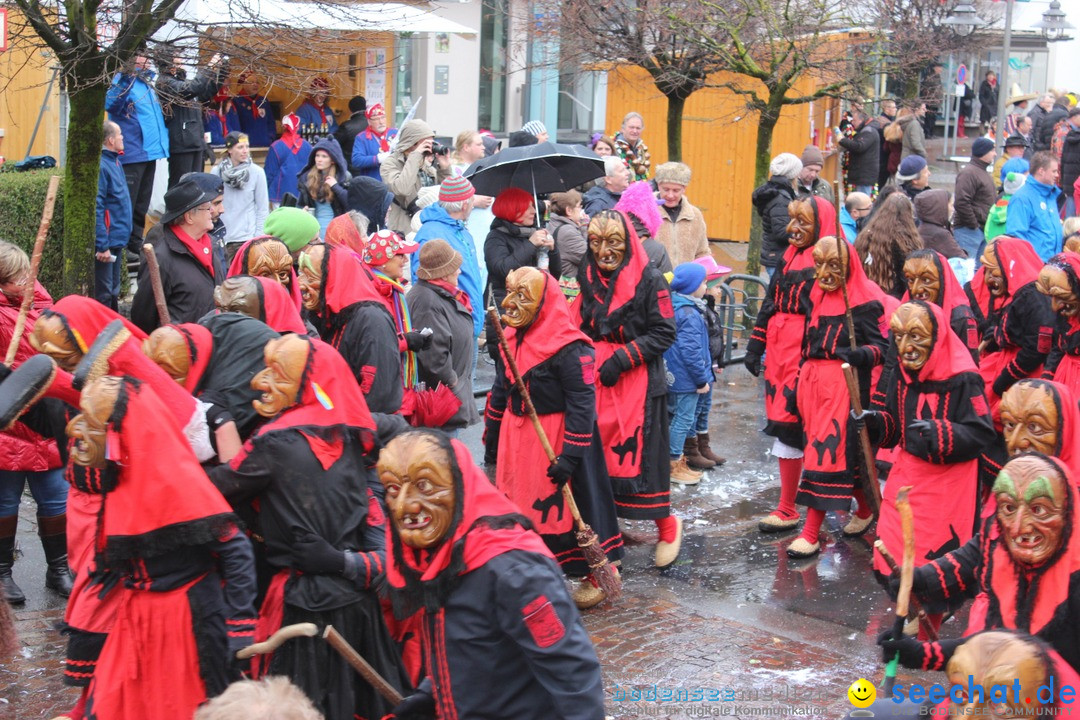 Fasnetsumzug - Fasching: Langenargen am Bodensee, 10.01.2016