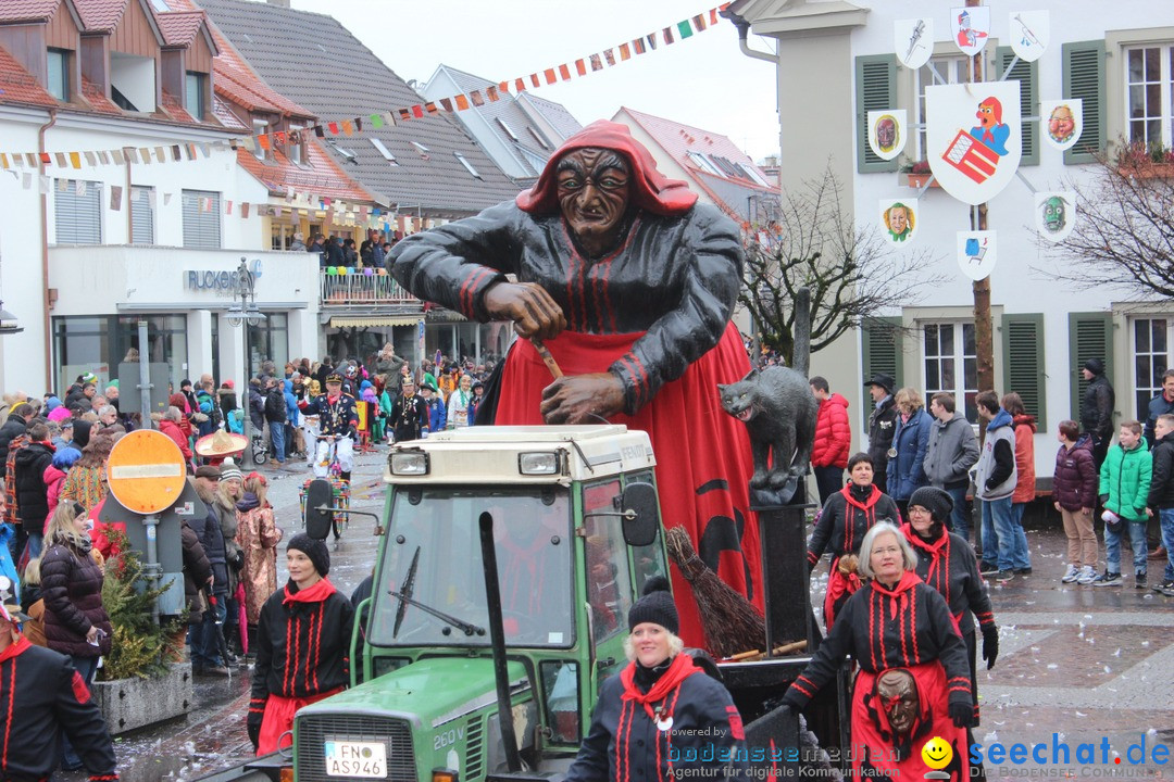 Fasnetsumzug - Fasching: Langenargen am Bodensee, 10.01.2016