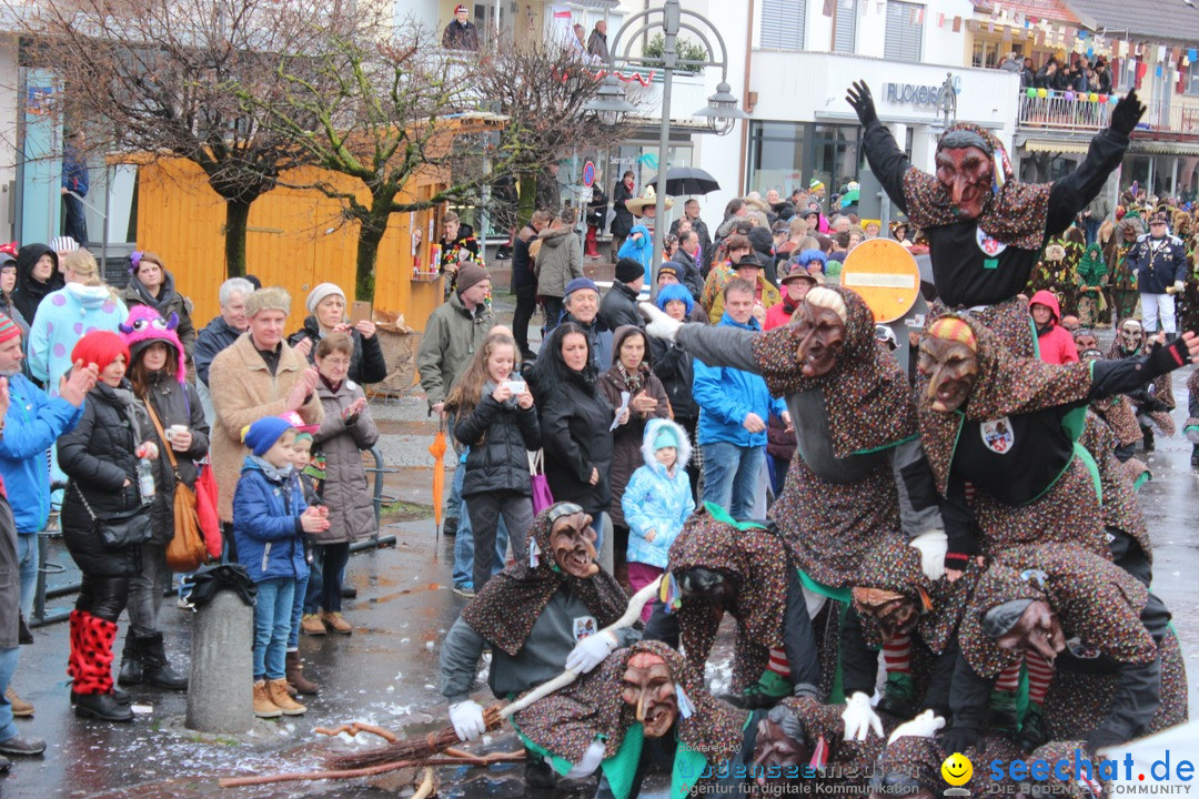 Fasnetsumzug - Fasching: Langenargen am Bodensee, 10.01.2016