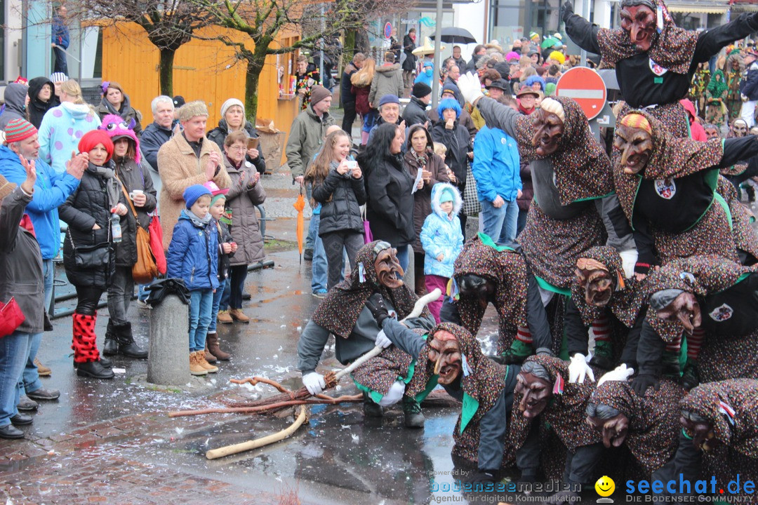 Fasnetsumzug - Fasching: Langenargen am Bodensee, 10.01.2016