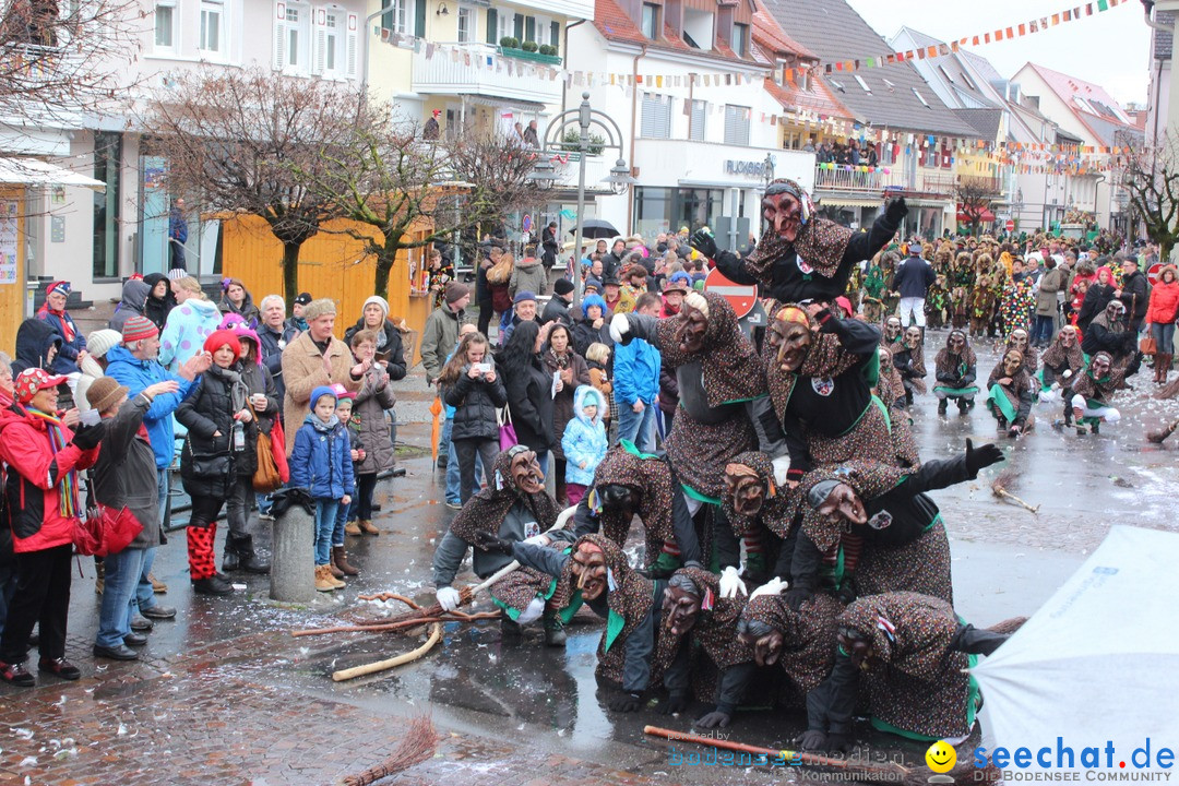 Fasnetsumzug - Fasching: Langenargen am Bodensee, 10.01.2016