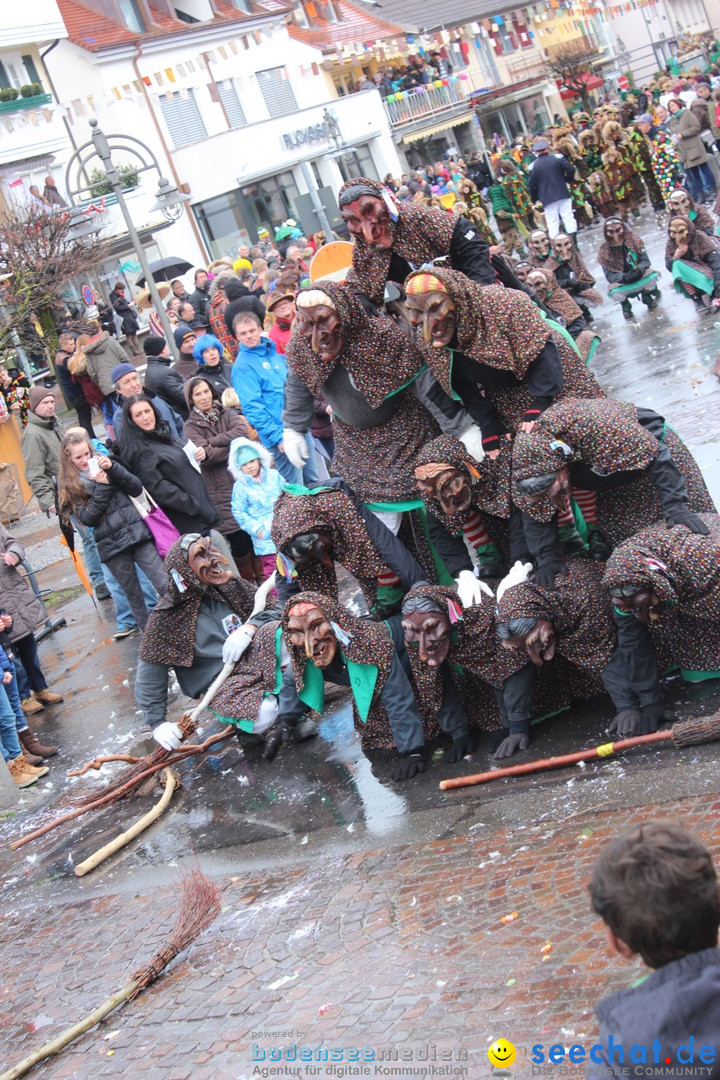 Fasnetsumzug - Fasching: Langenargen am Bodensee, 10.01.2016