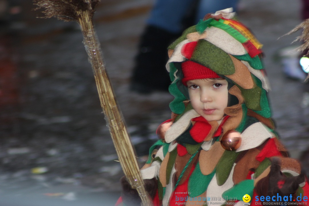 Fasnetsumzug - Fasching: Langenargen am Bodensee, 10.01.2016