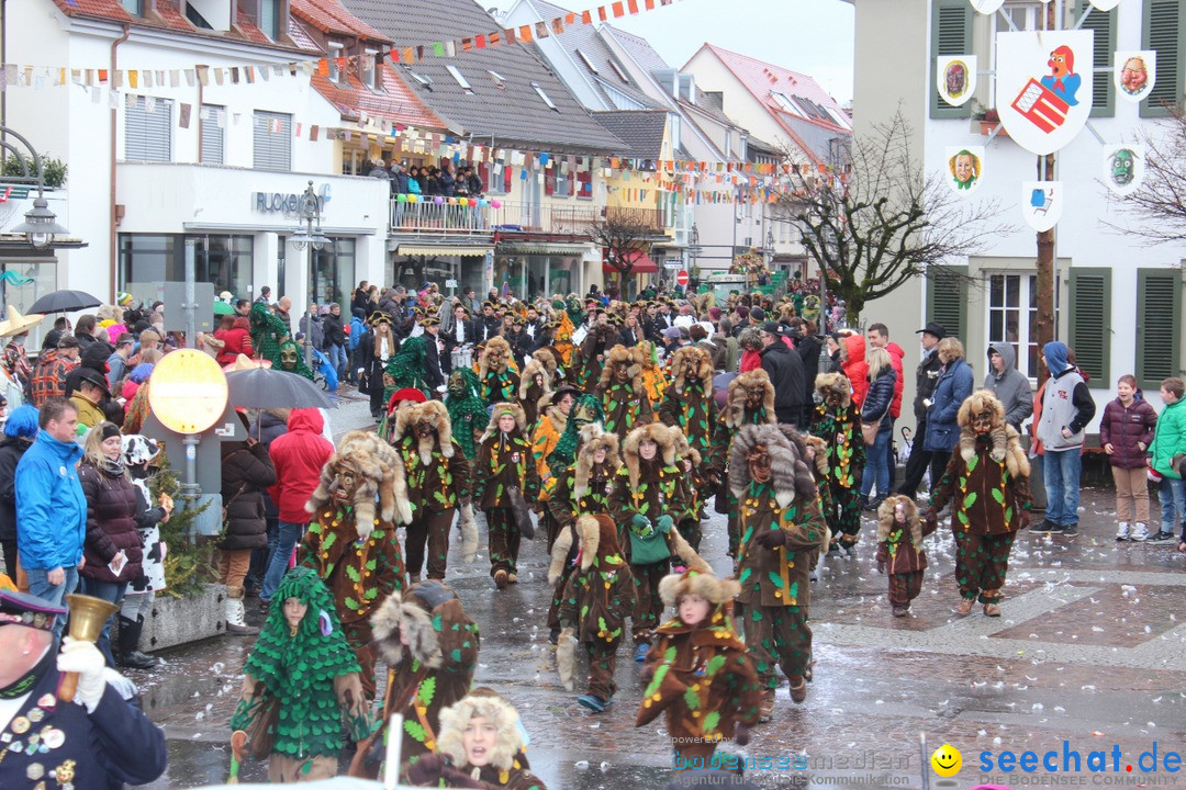 Fasnetsumzug - Fasching: Langenargen am Bodensee, 10.01.2016