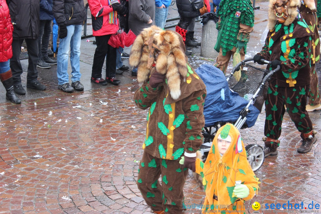 Fasnetsumzug - Fasching: Langenargen am Bodensee, 10.01.2016