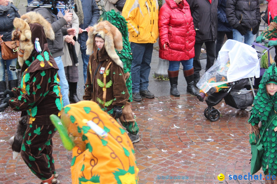 Fasnetsumzug - Fasching: Langenargen am Bodensee, 10.01.2016