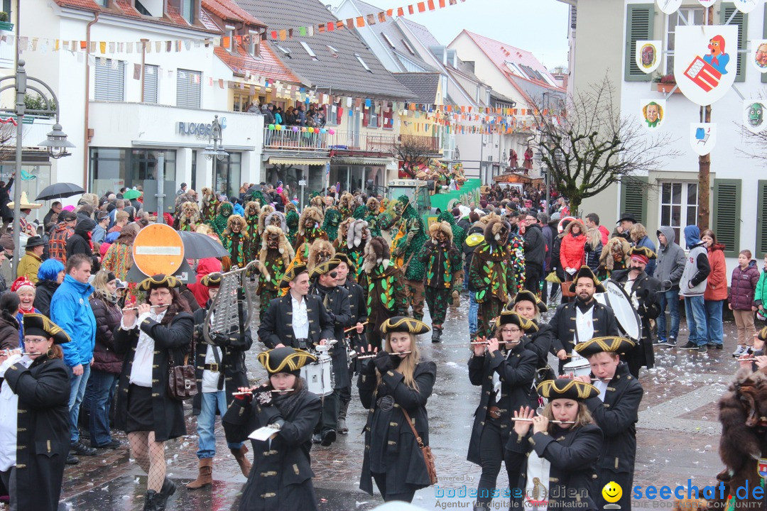 Fasnetsumzug - Fasching: Langenargen am Bodensee, 10.01.2016