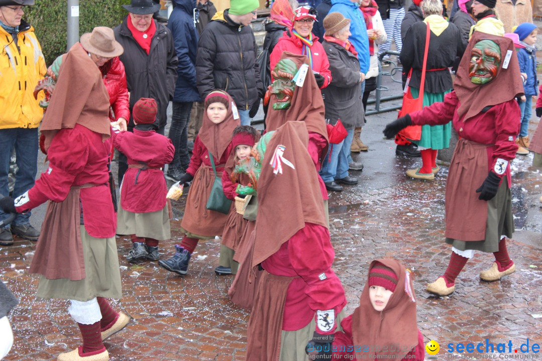 Fasnetsumzug - Fasching: Langenargen am Bodensee, 10.01.2016