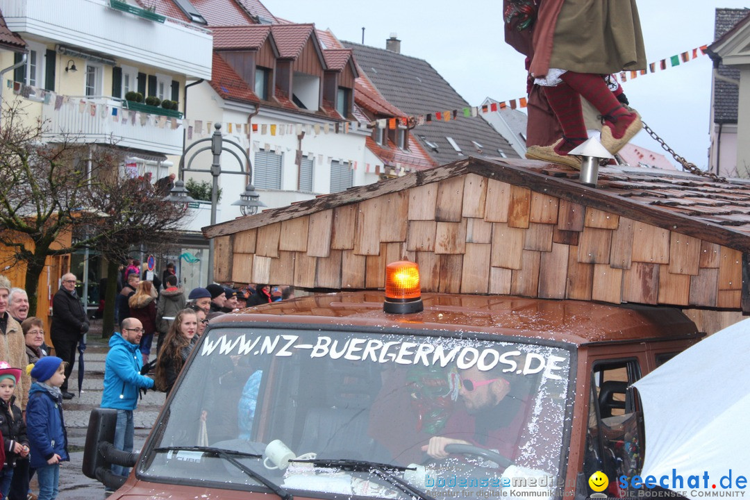 Fasnetsumzug - Fasching: Langenargen am Bodensee, 10.01.2016