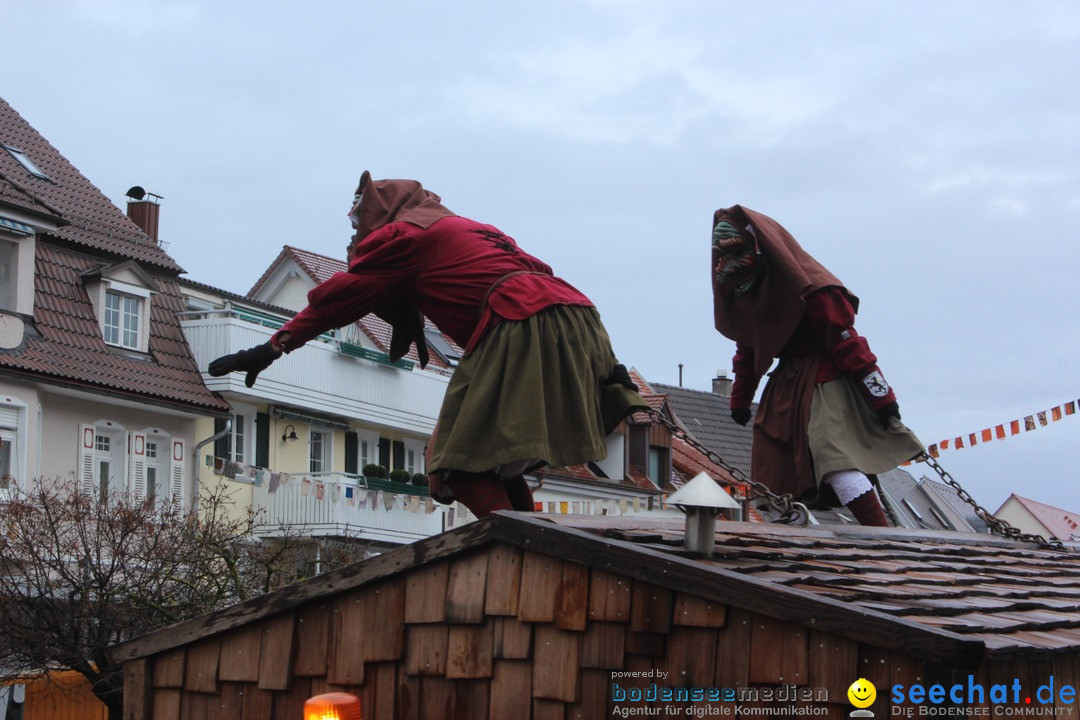 Fasnetsumzug - Fasching: Langenargen am Bodensee, 10.01.2016