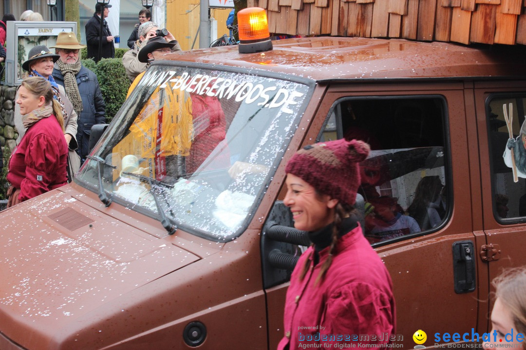 Fasnetsumzug - Fasching: Langenargen am Bodensee, 10.01.2016