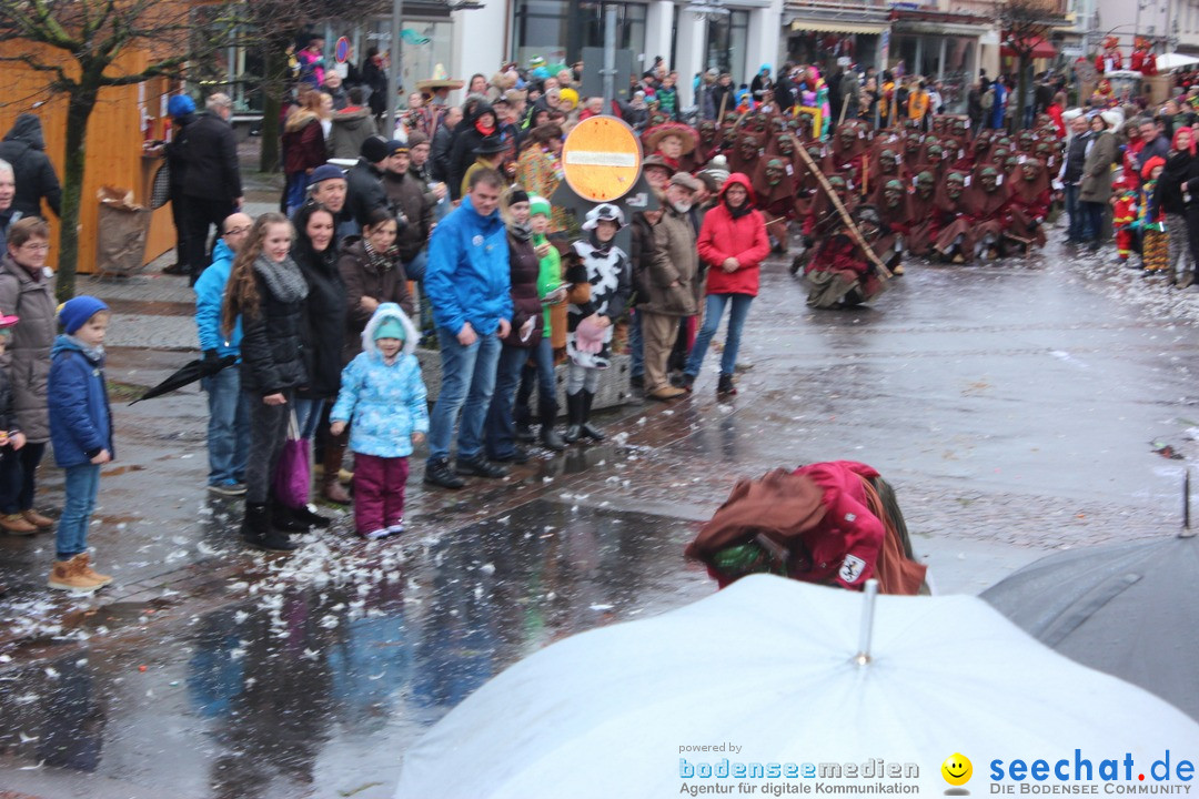 Fasnetsumzug - Fasching: Langenargen am Bodensee, 10.01.2016