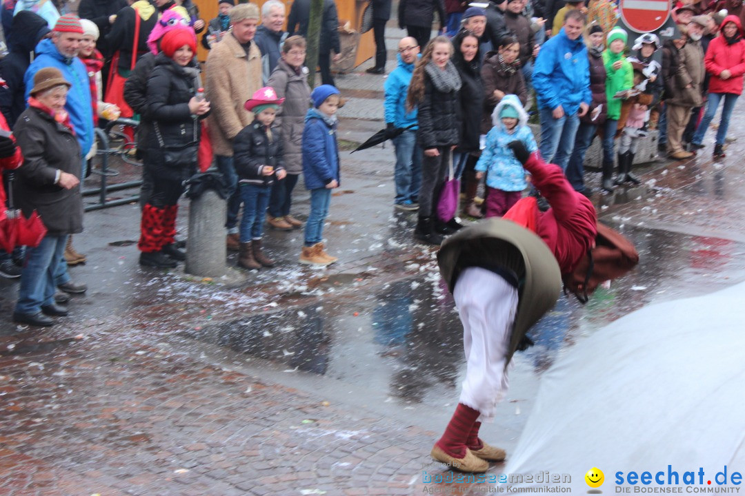 Fasnetsumzug - Fasching: Langenargen am Bodensee, 10.01.2016