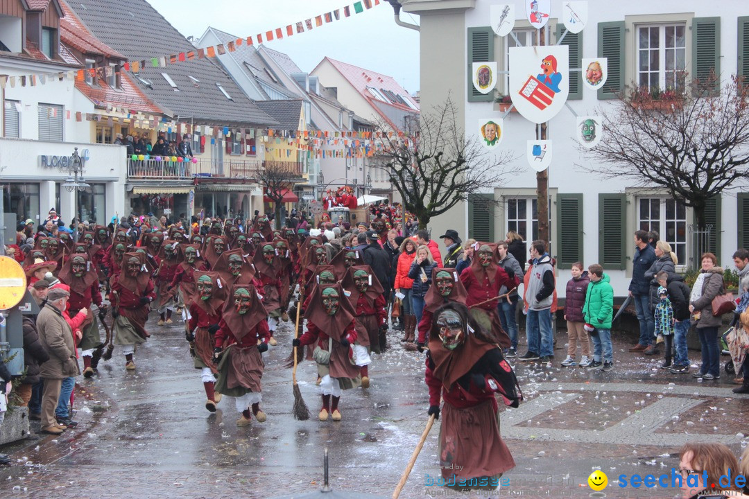 Fasnetsumzug - Fasching: Langenargen am Bodensee, 10.01.2016