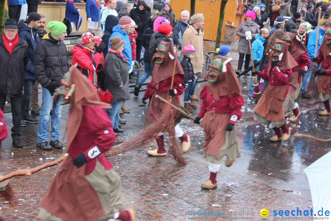 Fasnetsumzug - Fasching: Langenargen am Bodensee, 10.01.2016