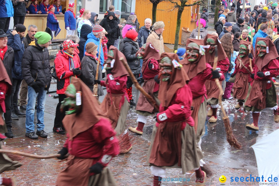 Fasnetsumzug - Fasching: Langenargen am Bodensee, 10.01.2016