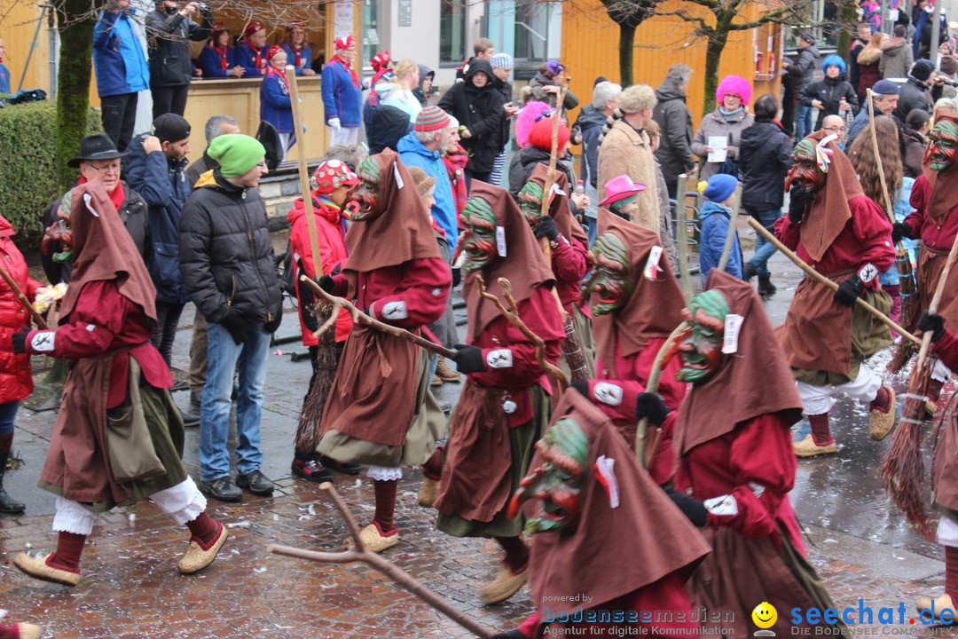 Fasnetsumzug - Fasching: Langenargen am Bodensee, 10.01.2016