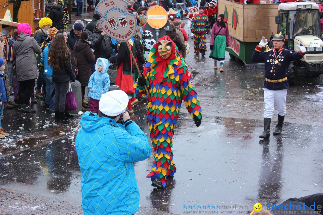 Fasnetsumzug - Fasching: Langenargen am Bodensee, 10.01.2016