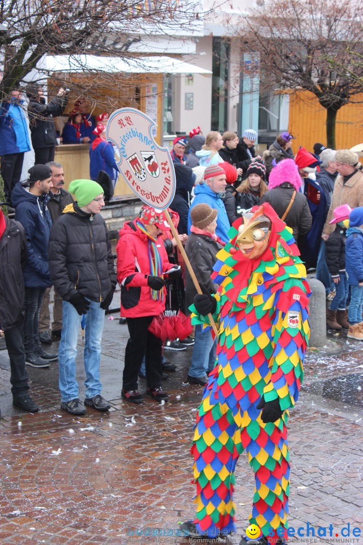 Fasnetsumzug - Fasching: Langenargen am Bodensee, 10.01.2016