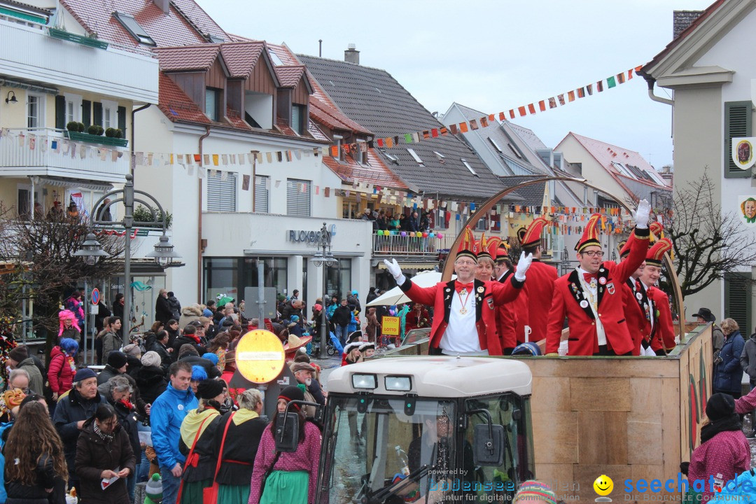 Fasnetsumzug - Fasching: Langenargen am Bodensee, 10.01.2016