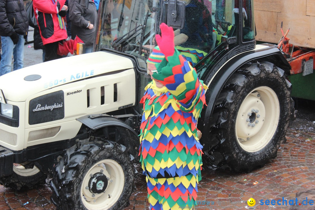 Fasnetsumzug - Fasching: Langenargen am Bodensee, 10.01.2016