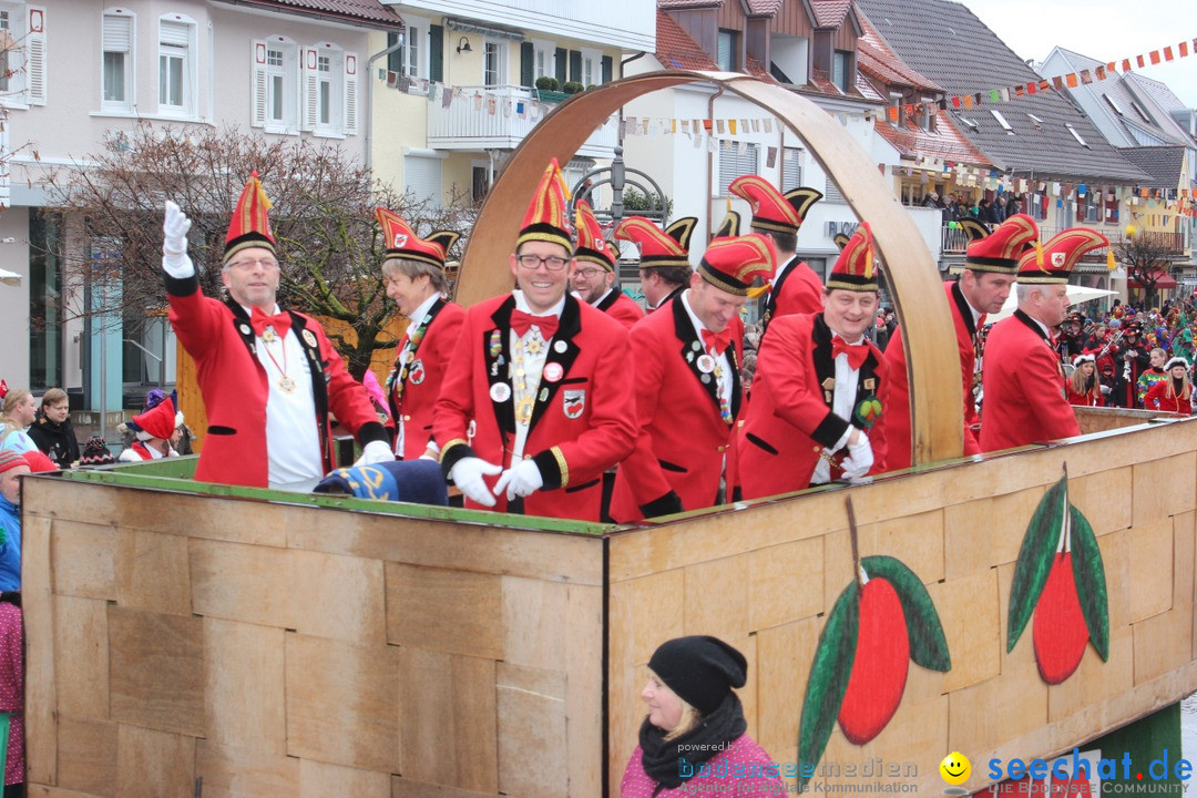 Fasnetsumzug - Fasching: Langenargen am Bodensee, 10.01.2016