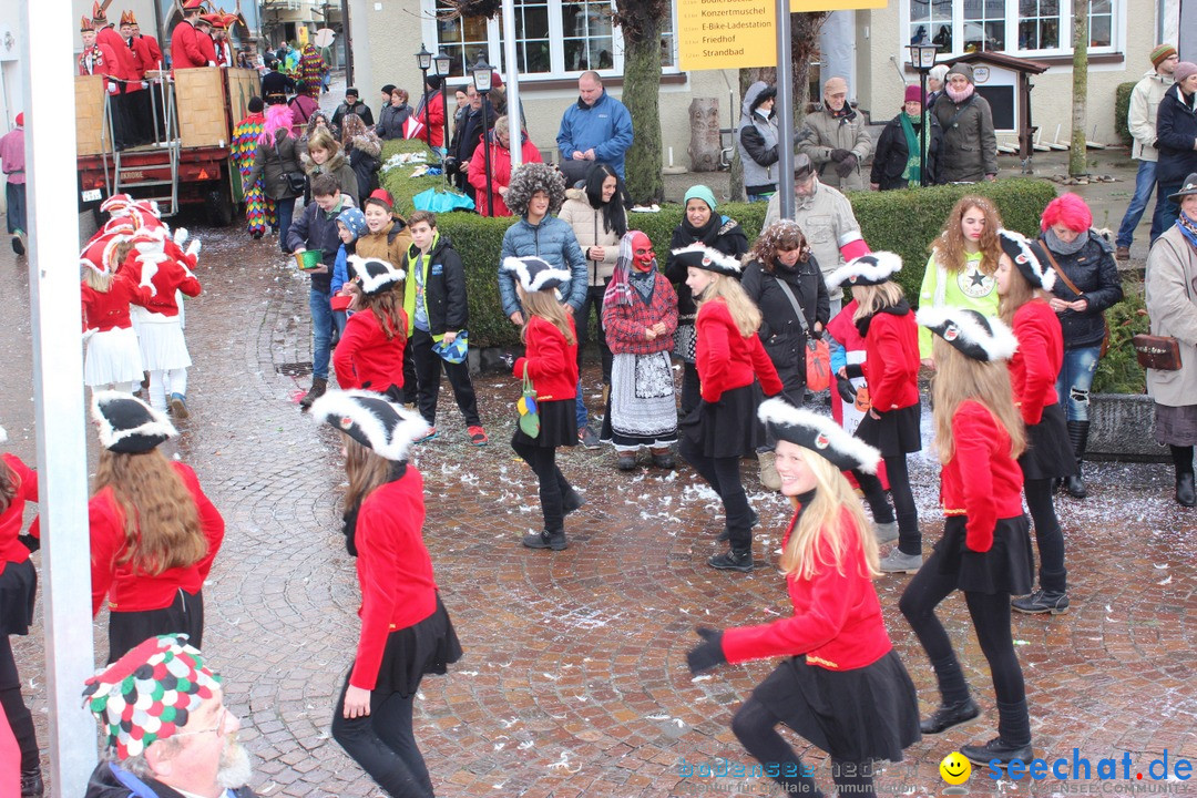 Fasnetsumzug - Fasching: Langenargen am Bodensee, 10.01.2016