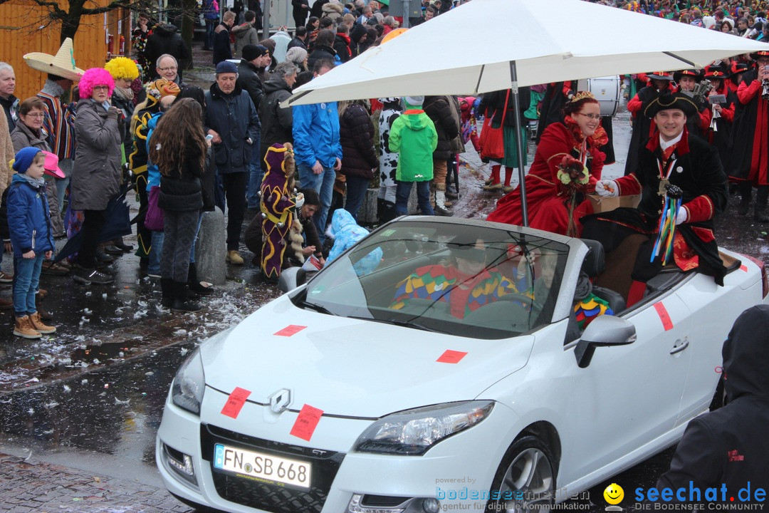 Fasnetsumzug - Fasching: Langenargen am Bodensee, 10.01.2016