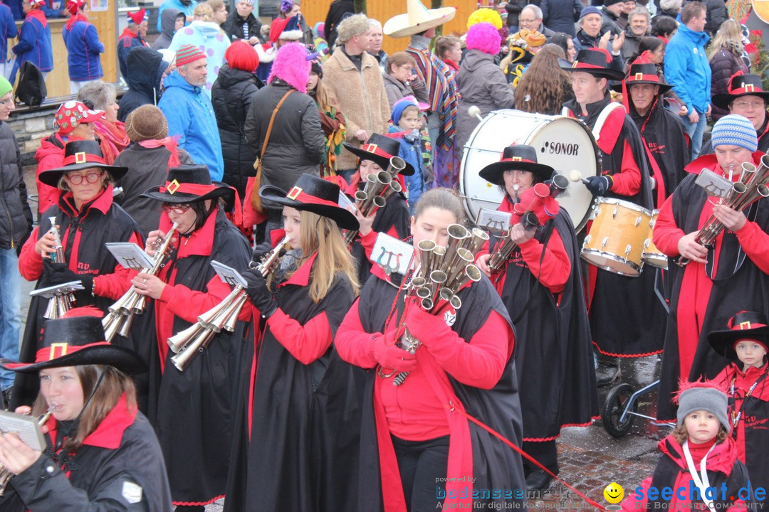 Fasnetsumzug - Fasching: Langenargen am Bodensee, 10.01.2016