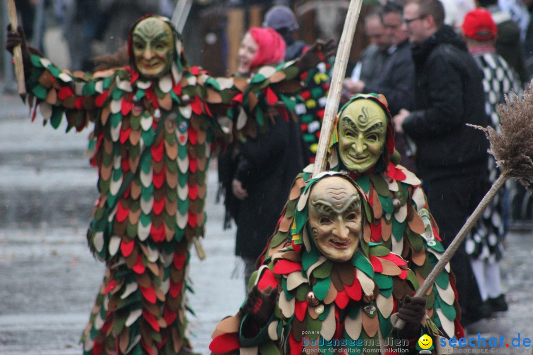 Fasnetsumzug - Fasching: Langenargen am Bodensee, 10.01.2016