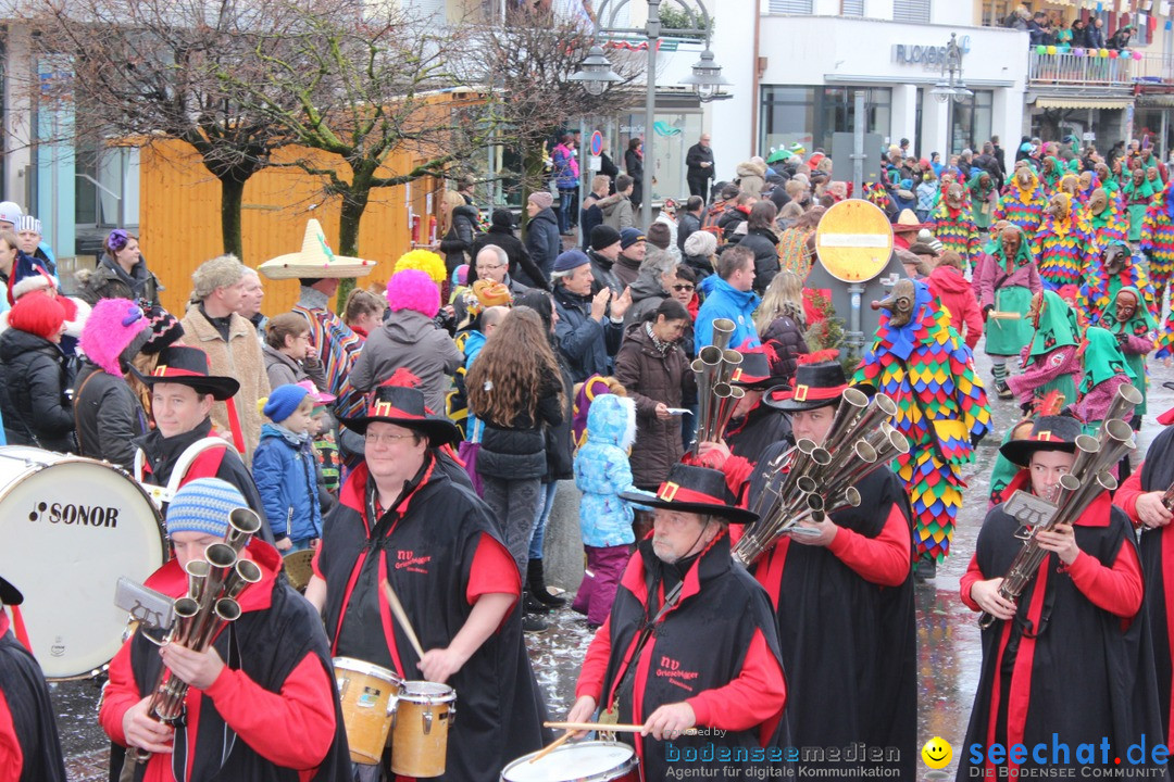 Fasnetsumzug - Fasching: Langenargen am Bodensee, 10.01.2016