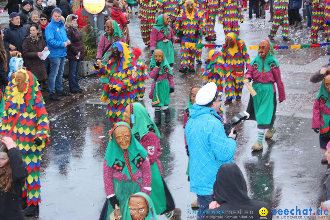 Fasnetsumzug - Fasching: Langenargen am Bodensee, 10.01.2016