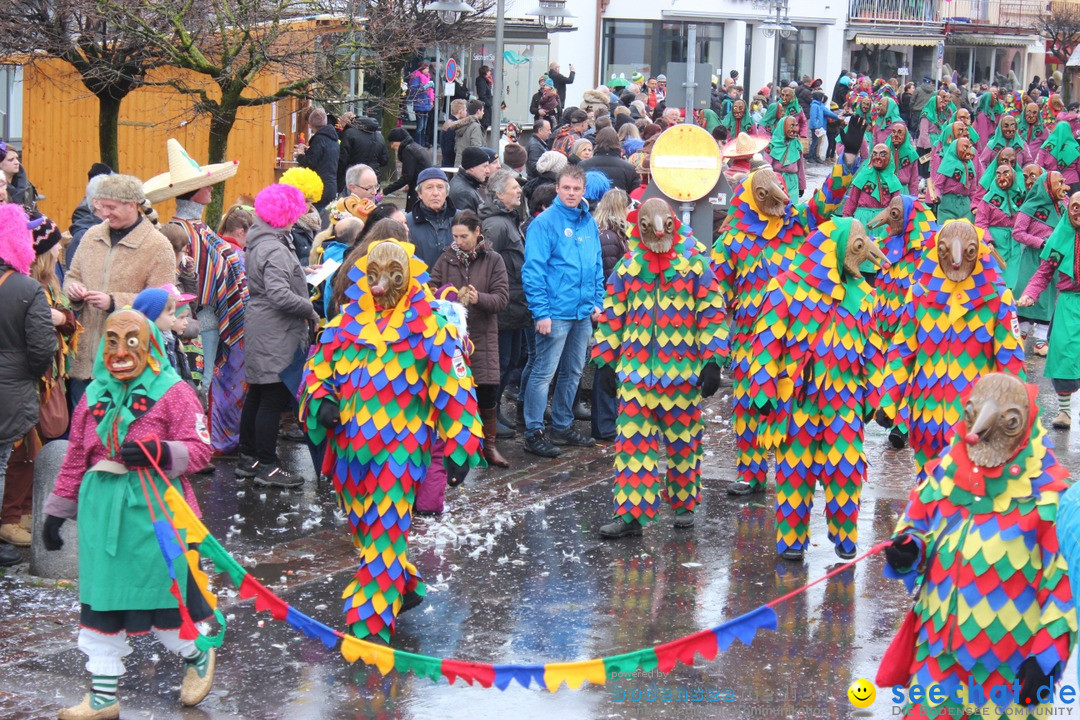 Fasnetsumzug - Fasching: Langenargen am Bodensee, 10.01.2016