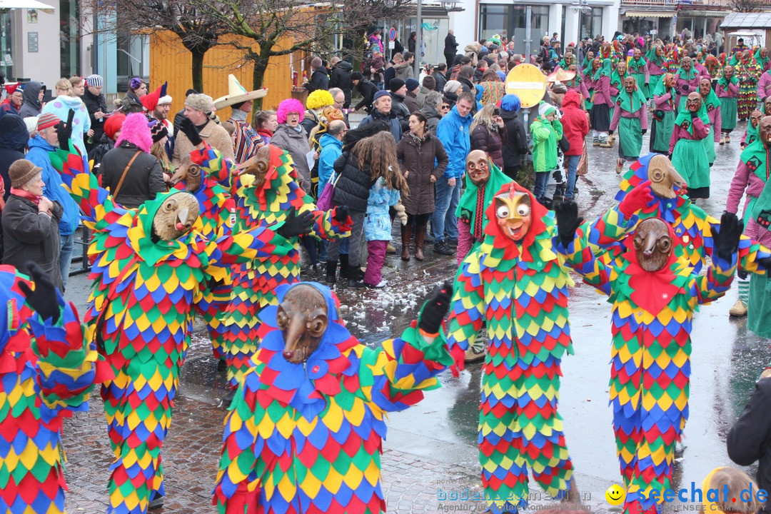 Fasnetsumzug - Fasching: Langenargen am Bodensee, 10.01.2016