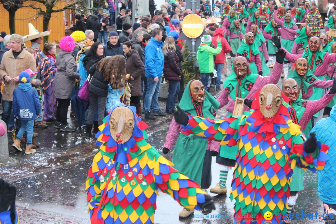 Fasnetsumzug - Fasching: Langenargen am Bodensee, 10.01.2016