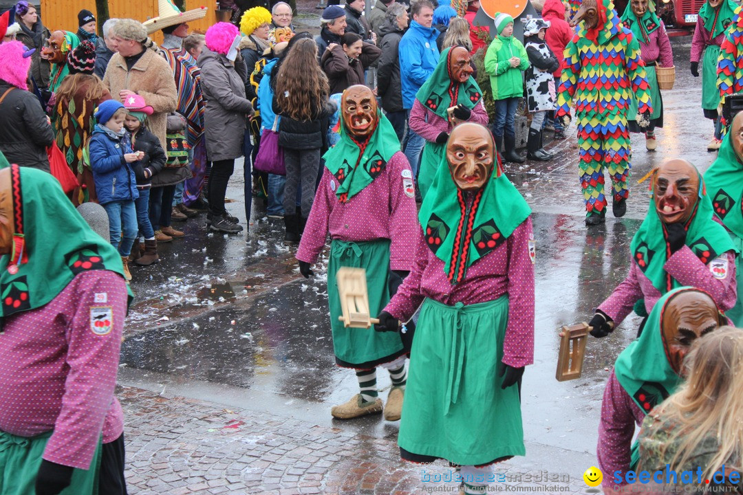 Fasnetsumzug - Fasching: Langenargen am Bodensee, 10.01.2016