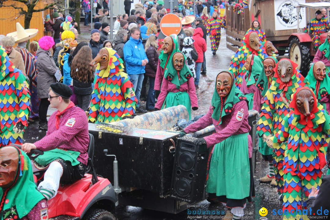 Fasnetsumzug - Fasching: Langenargen am Bodensee, 10.01.2016