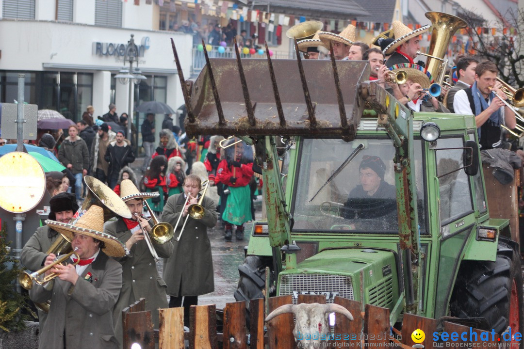 Fasnetsumzug - Fasching: Langenargen am Bodensee, 10.01.2016