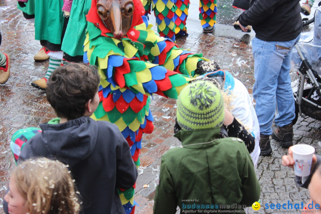 Fasnetsumzug - Fasching: Langenargen am Bodensee, 10.01.2016