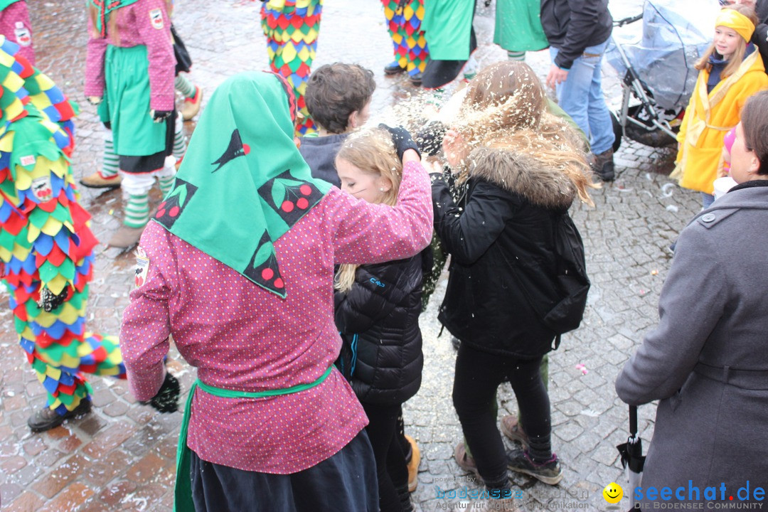 Fasnetsumzug - Fasching: Langenargen am Bodensee, 10.01.2016