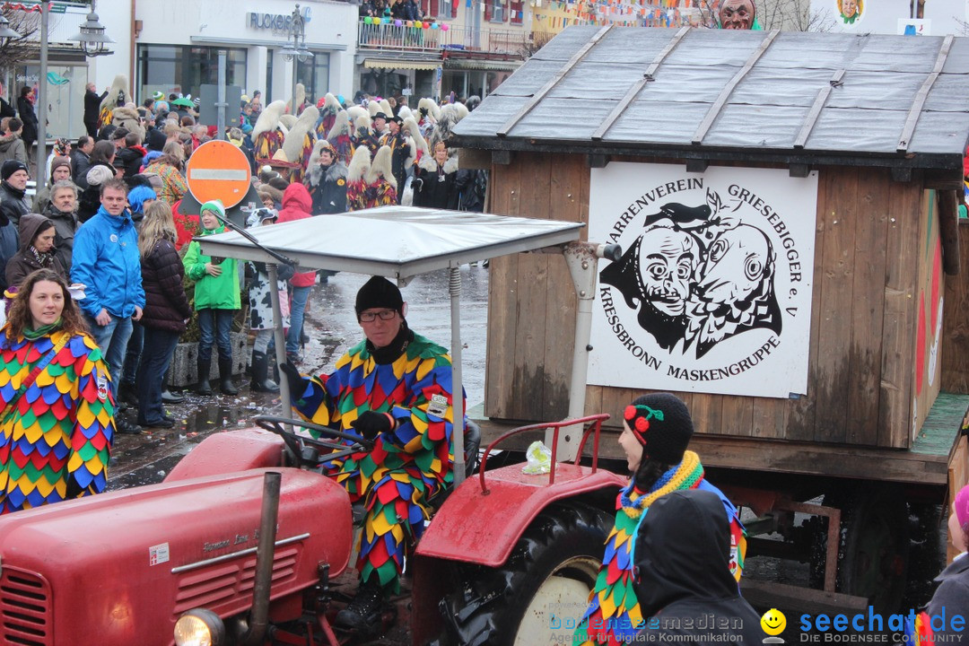 Fasnetsumzug - Fasching: Langenargen am Bodensee, 10.01.2016