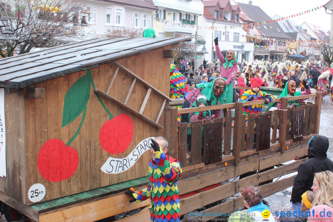 Fasnetsumzug - Fasching: Langenargen am Bodensee, 10.01.2016