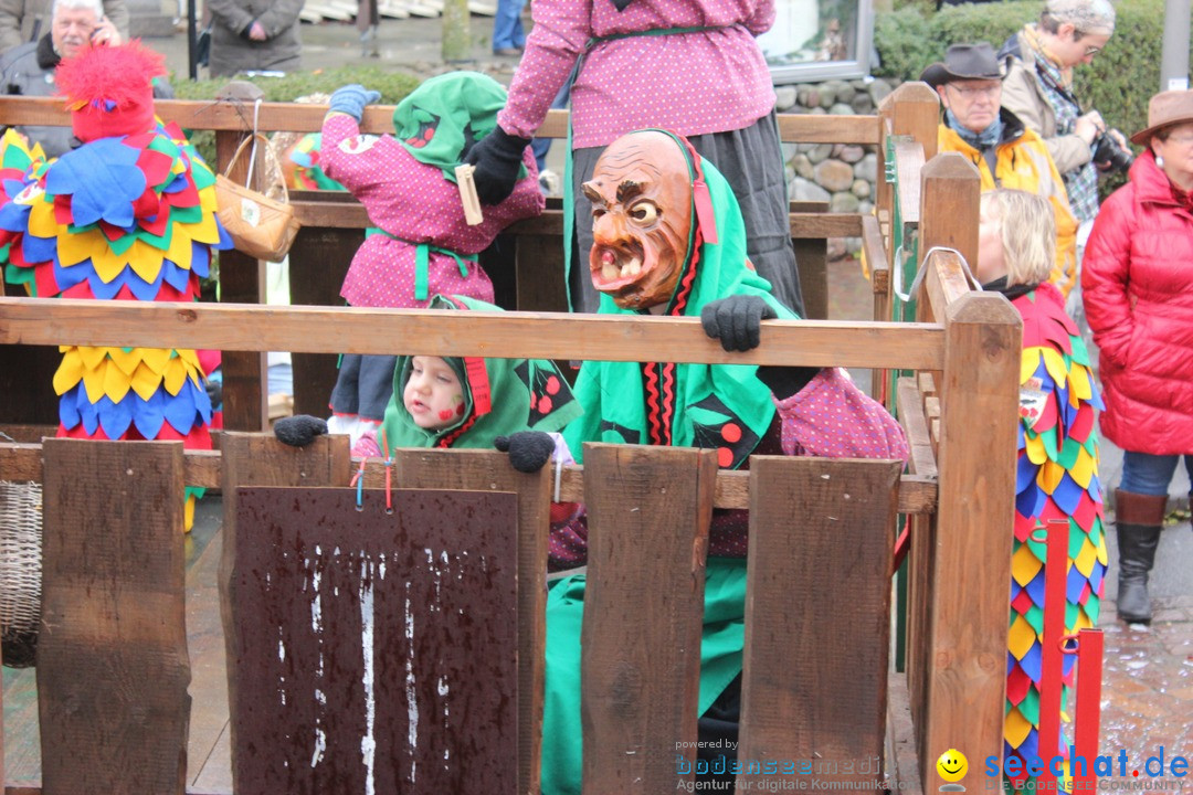 Fasnetsumzug - Fasching: Langenargen am Bodensee, 10.01.2016