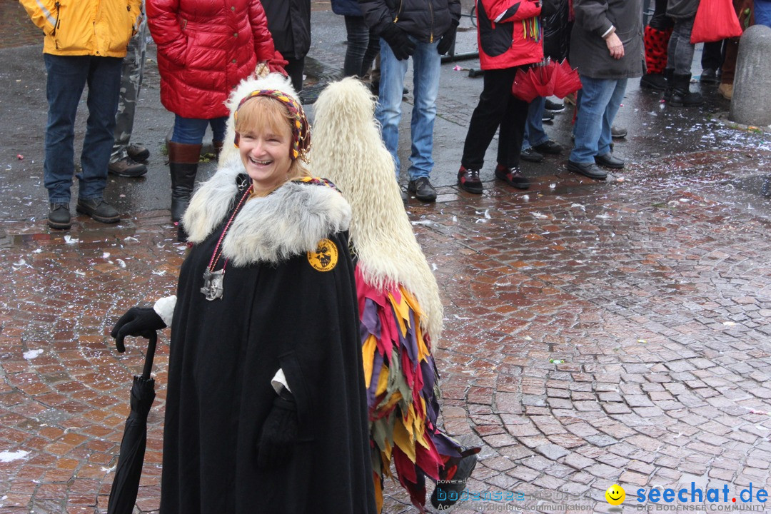 Fasnetsumzug - Fasching: Langenargen am Bodensee, 10.01.2016