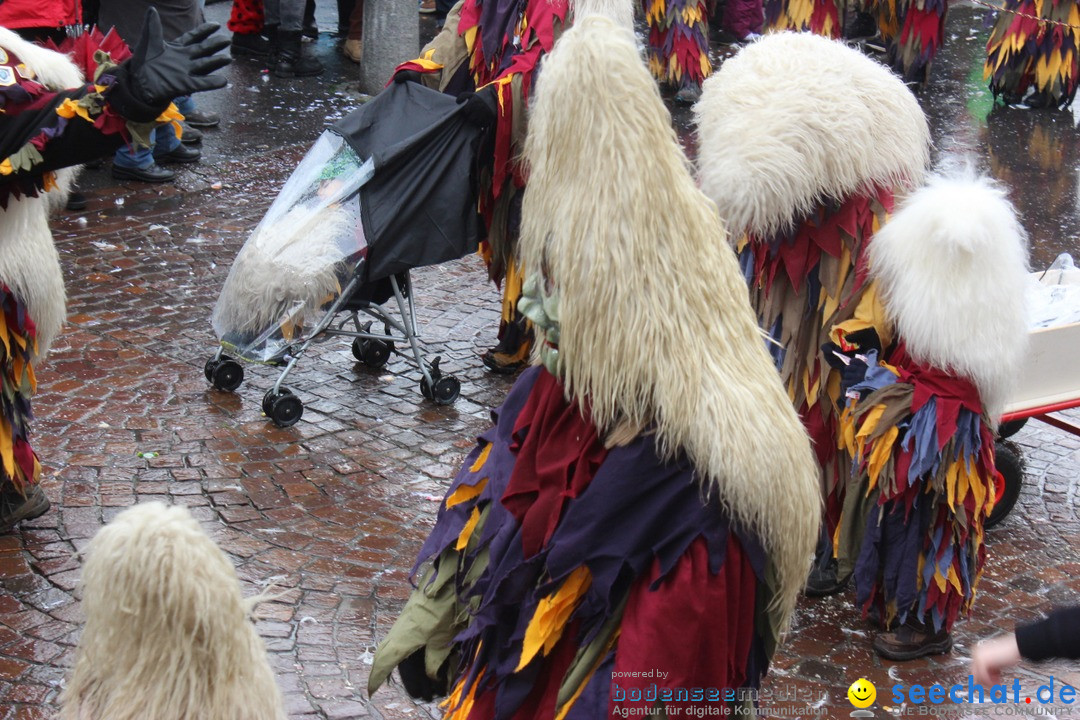 Fasnetsumzug - Fasching: Langenargen am Bodensee, 10.01.2016