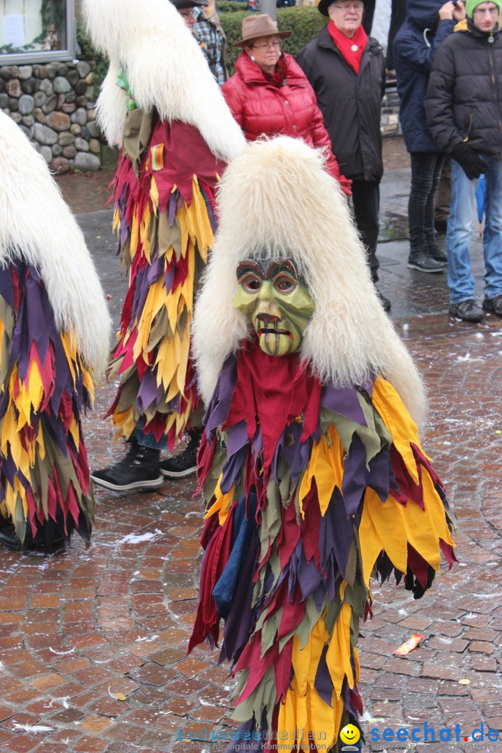 Fasnetsumzug - Fasching: Langenargen am Bodensee, 10.01.2016